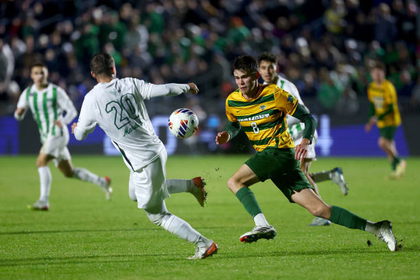 仅展示了个 仅展示了个