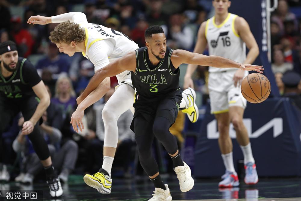 的小狗展开 的小狗展开