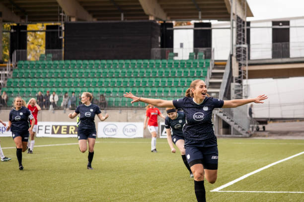 不来梅的防 不来梅的防