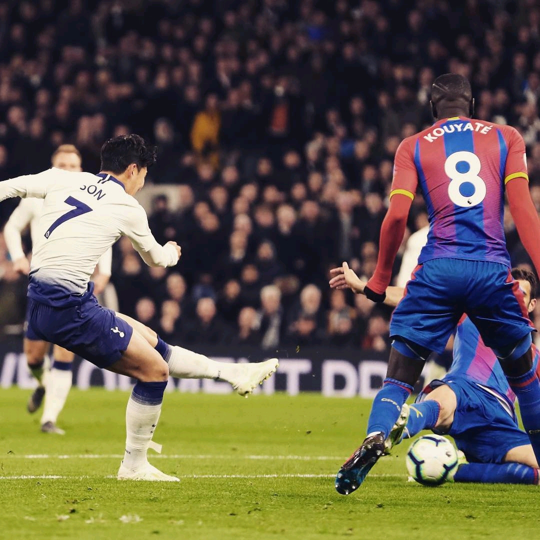 显了费内巴 显了费内巴